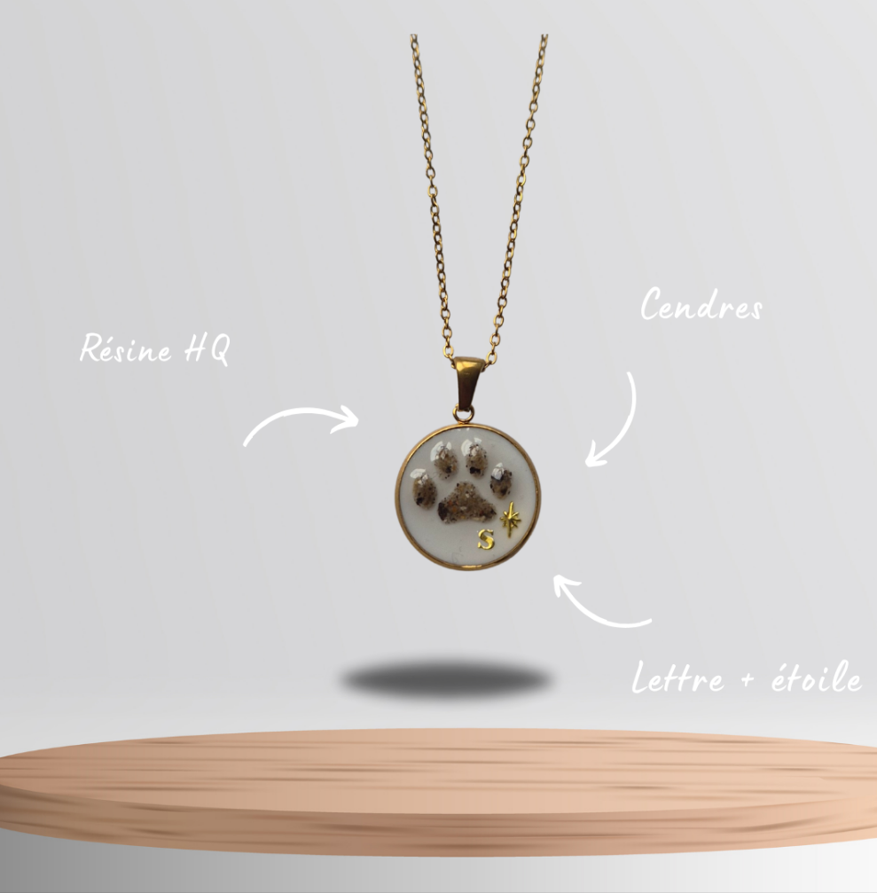 Collier Patoune 🐾