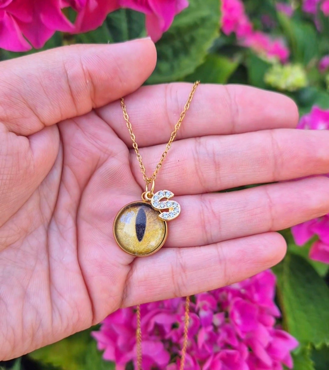 Collier Iris (capturer l'iris de votre animal)
