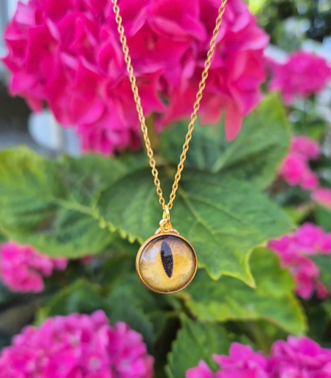 Collier Iris (capturer l'iris de votre animal)