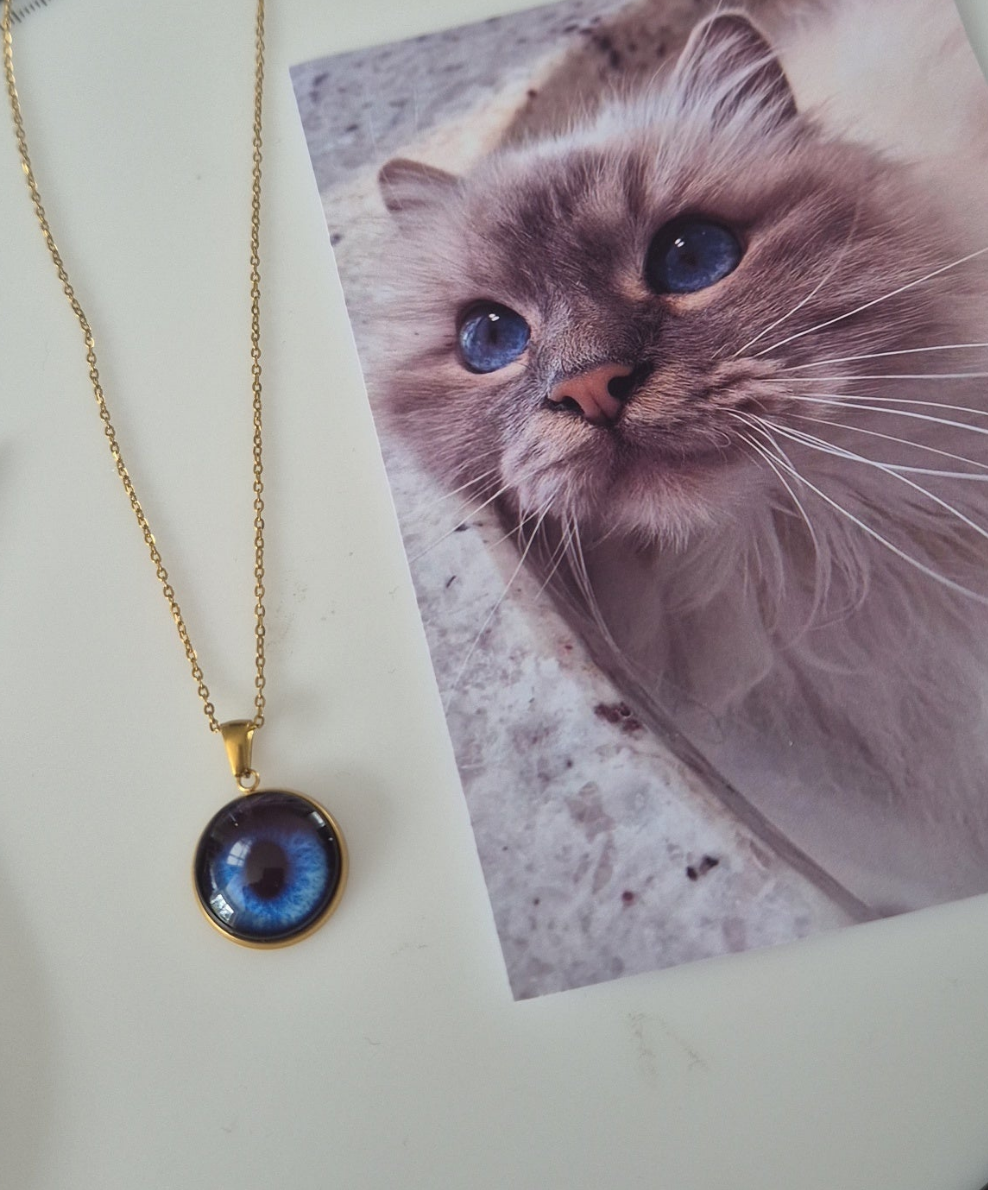 Collier Iris  souvenirs 🐾 (chat,chien,cheval,humain, nac..)