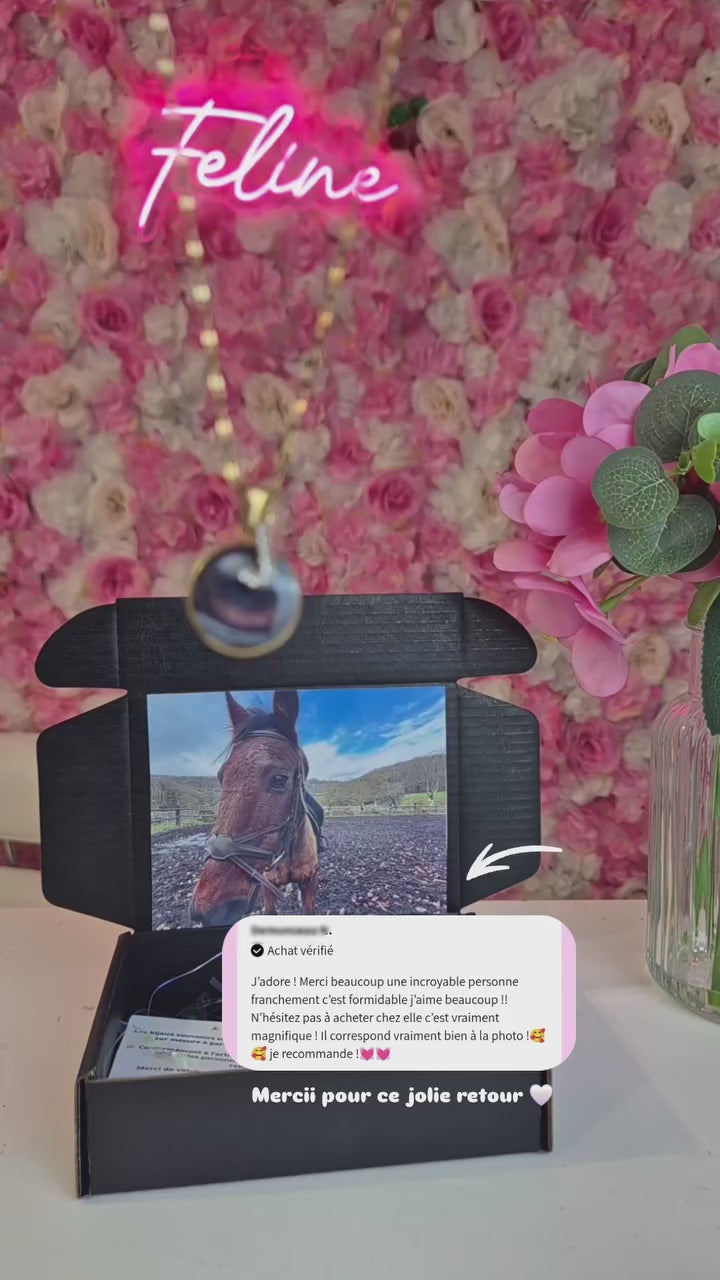 Collier Iris souvenirs🐾 (animaux,humains)