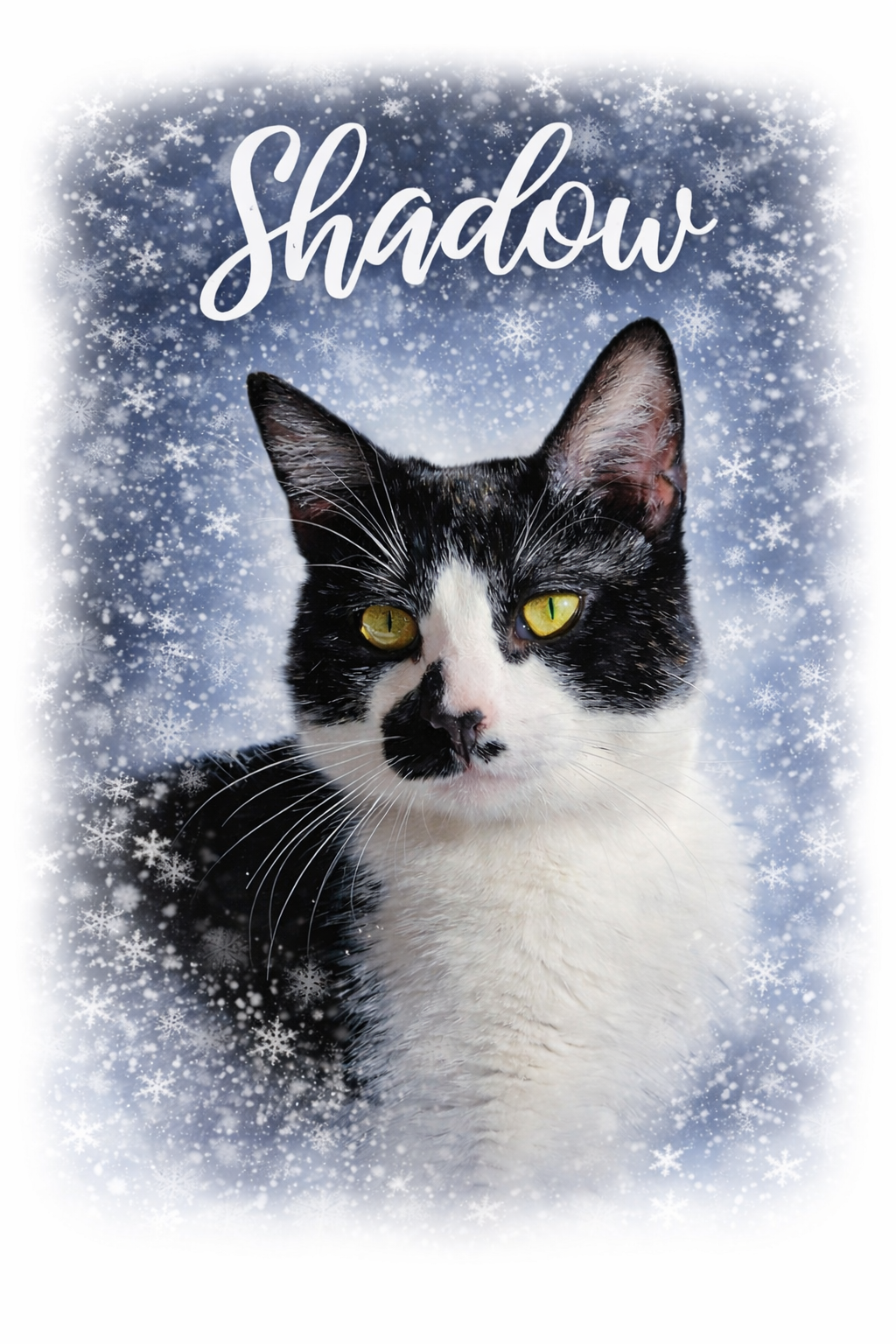 Affiche personnalisé illustration animaux