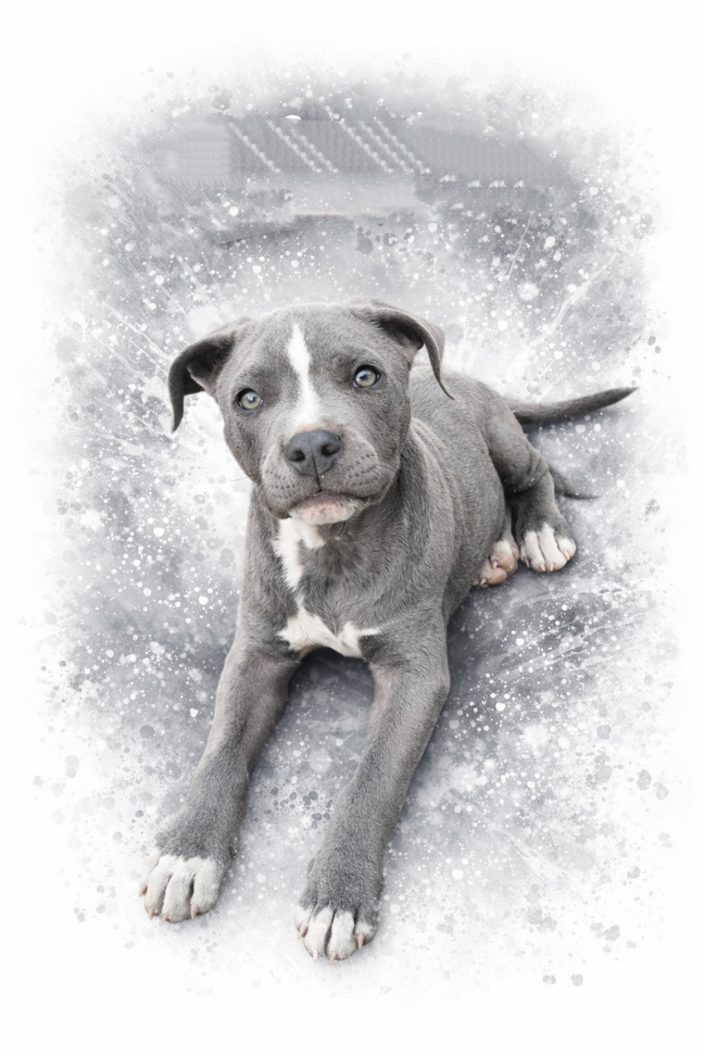 Affiche personnalisé illustration animaux