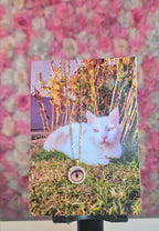 Collier Iris  souvenirs 🐾 (chat,chien,cheval,humain, nac..)