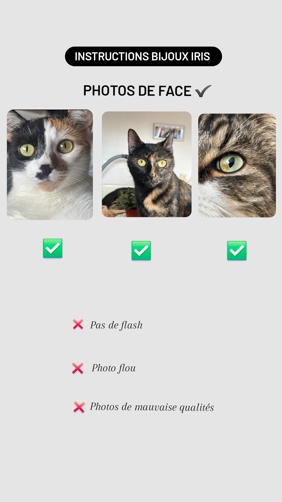 Collier Iris  souvenirs 🐾 (chat,chien,cheval,humain, nac..)